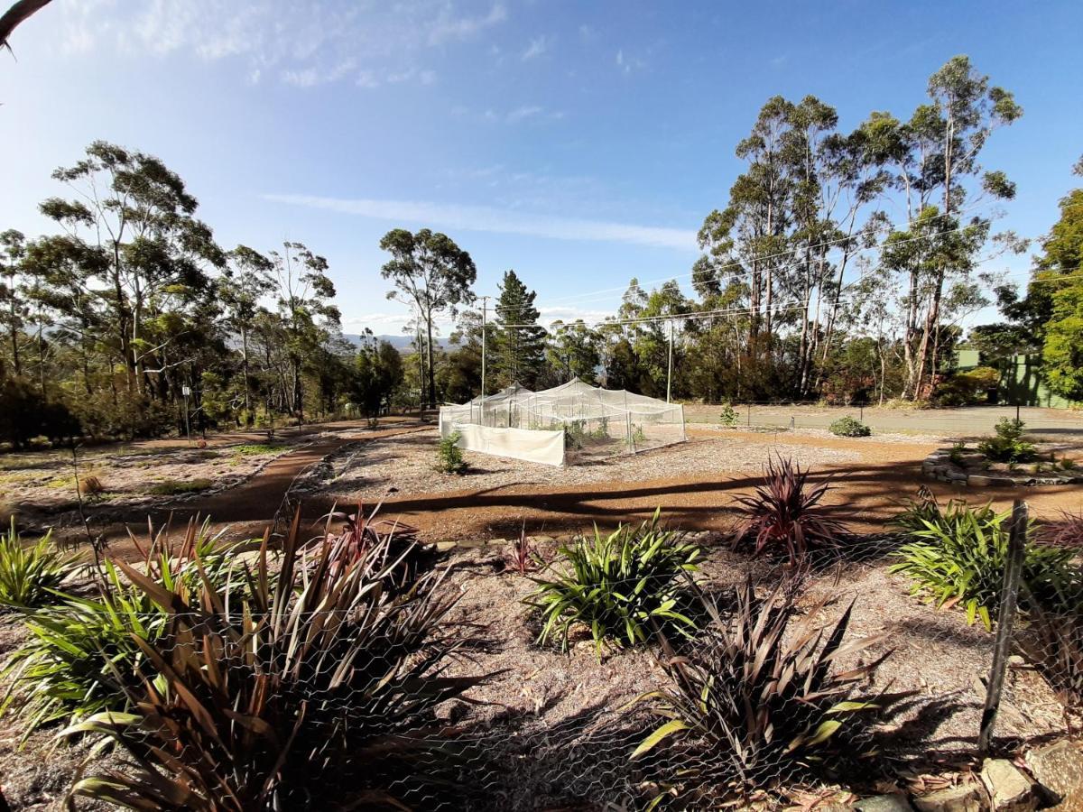 Spring Beach Garden Retreat Extérieur photo